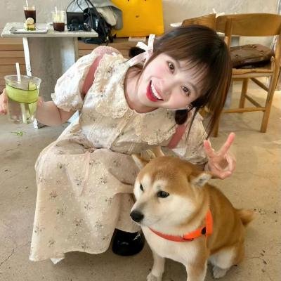 你是我的夏至未央